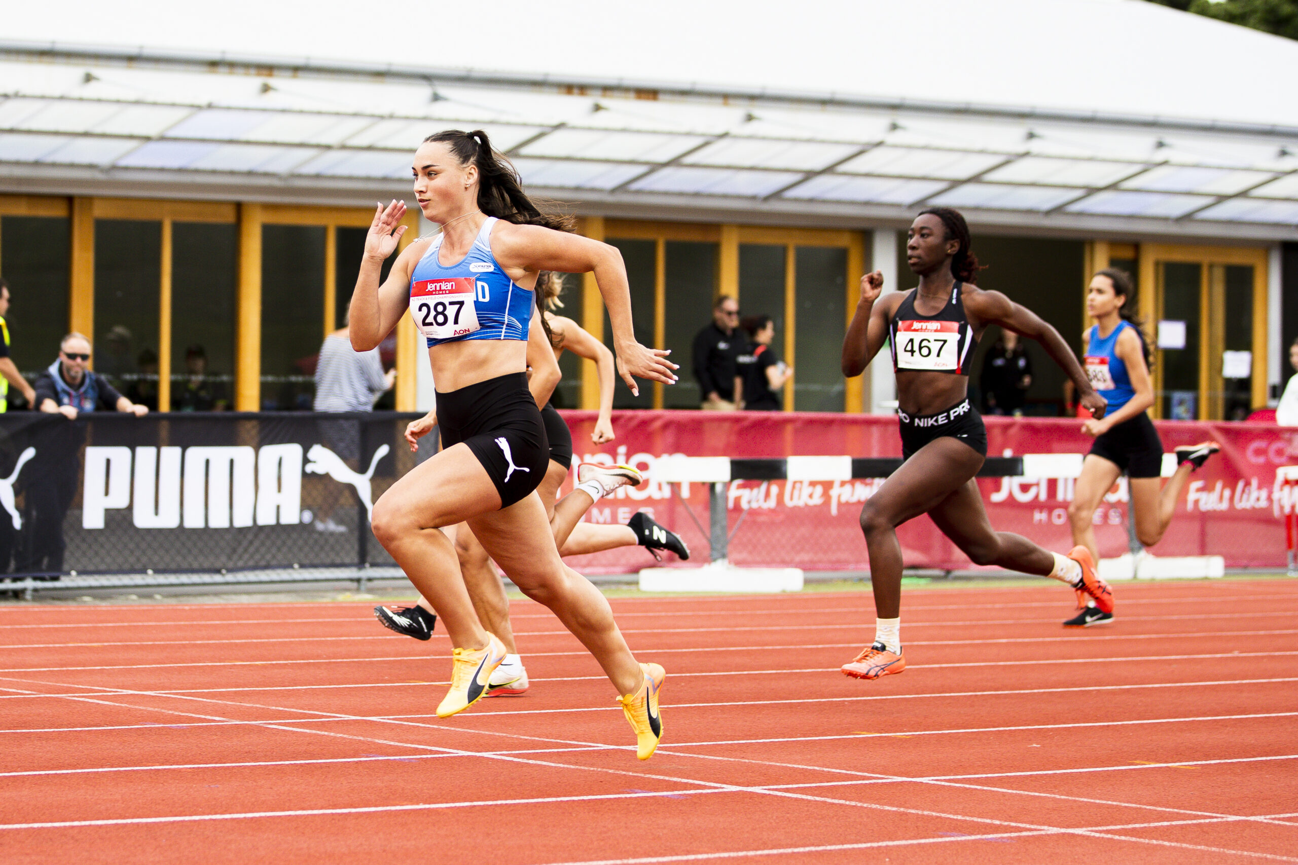 在其前东家 在其前东家