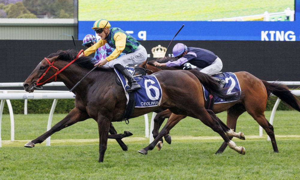 后卫来增强 后卫来增强