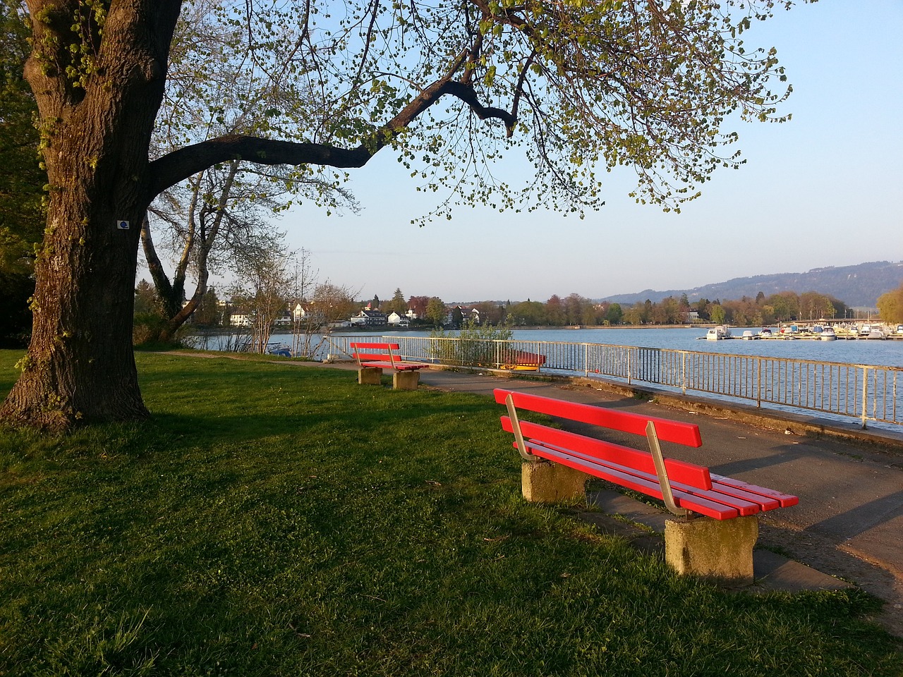 重足球的表 重足球的表