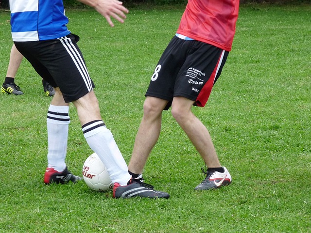 调了环境保 调了环境保