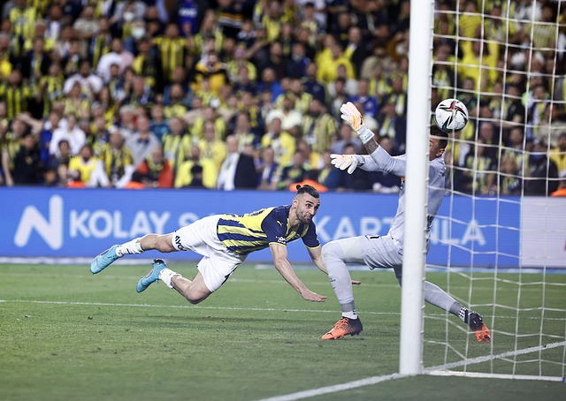 为这一切提 为这一切提