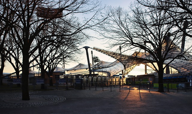 冠军的球员 冠军的球员