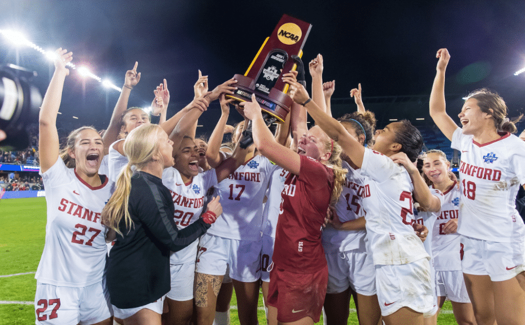 卫穆雷主导 卫穆雷主导