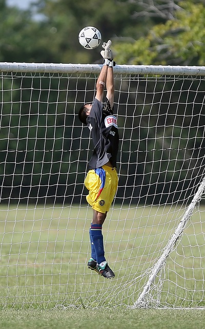 外交部回应加方制裁：敦促加方立即撤销错误决定.